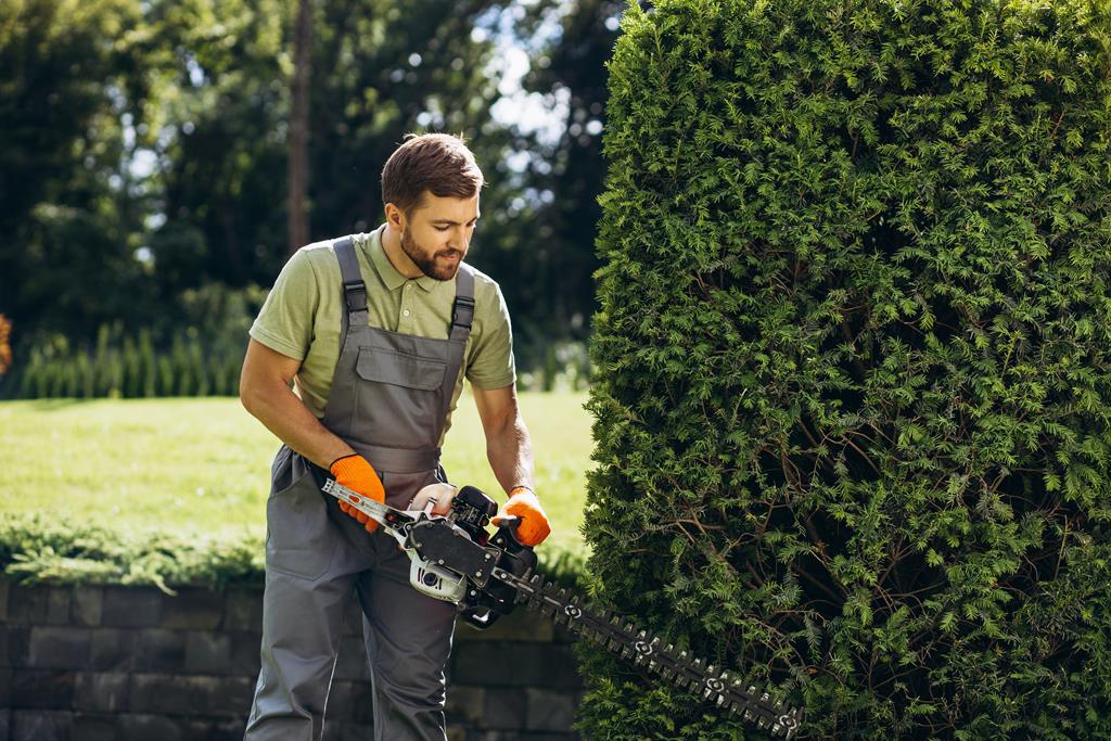 An image of Tree and Shrub Trimming Services in Saratoga Springs, UT
