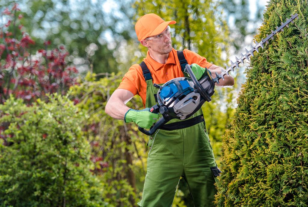 An image of Tree and Shrub Trimming Services in Saratoga Springs, UT
